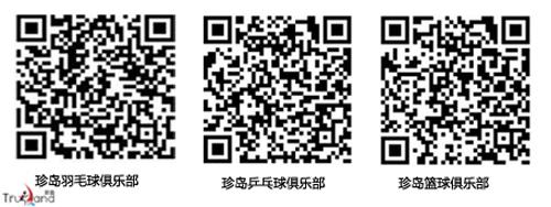 珍島營銷“兩大球、兩小球”俱樂部二維碼