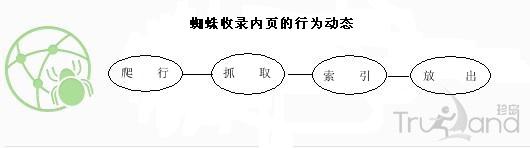 蜘蛛收錄內(nèi)頁行為動(dòng)態(tài)