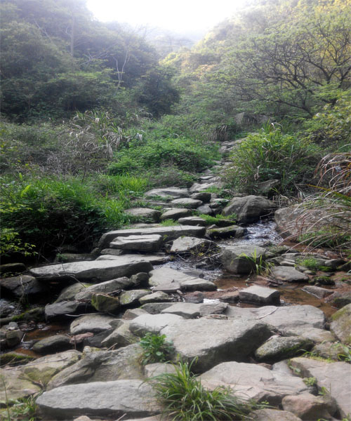 莫干山 再見！