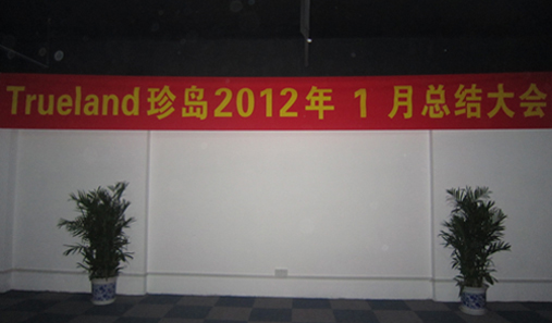 珍島2012年1月總結(jié)大會